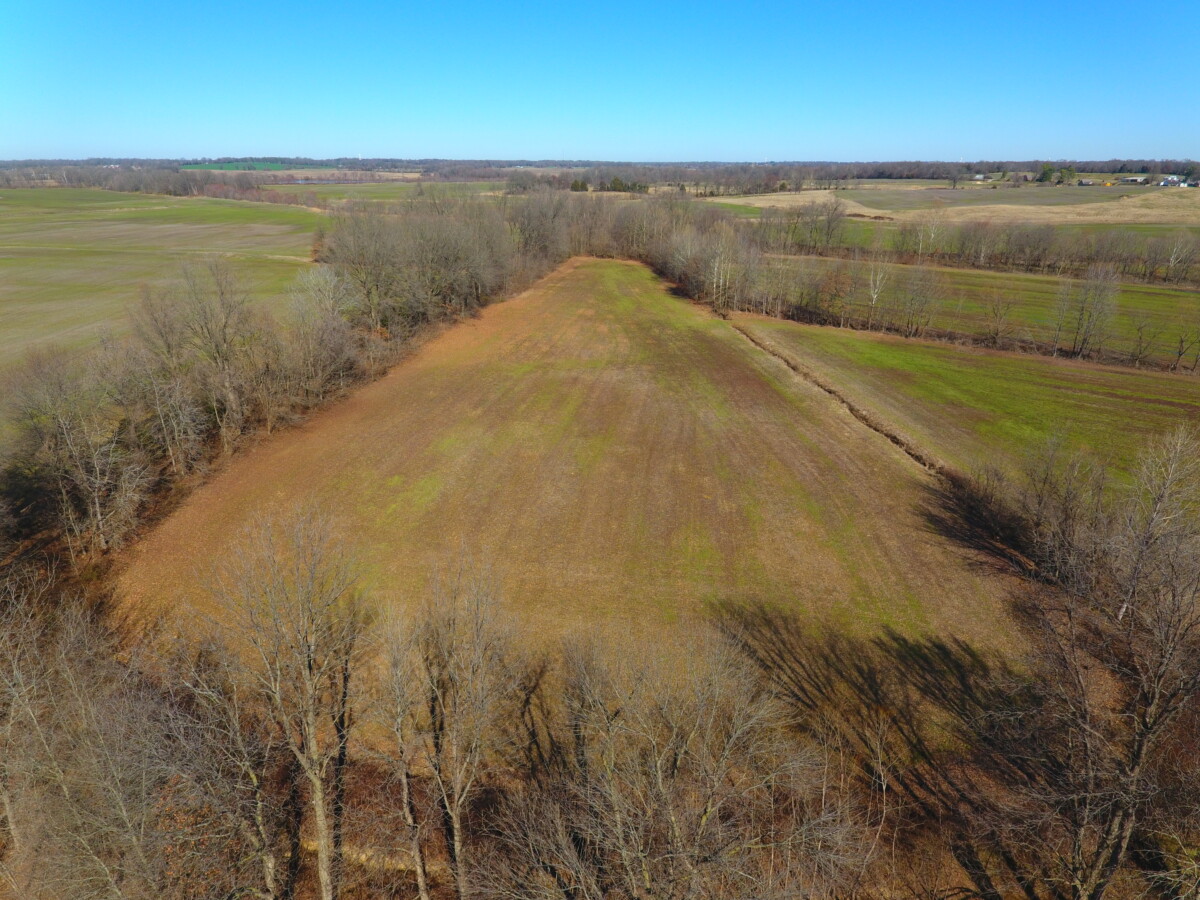 ONLINE ONLY 64.5 ACRES OF FARMLAND IN CROCKETT COUNTY TN. AUCTION ENDS