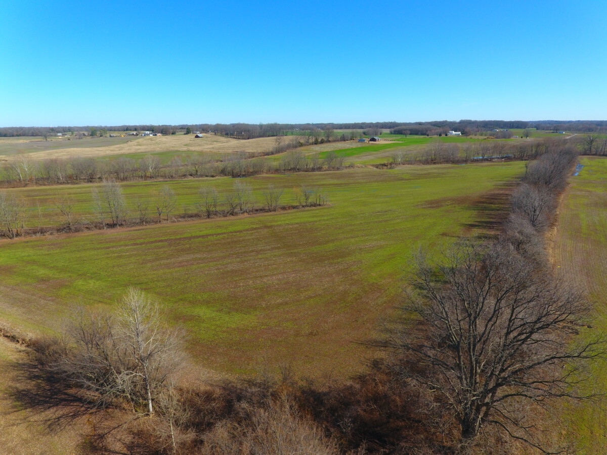 ONLINE ONLY 64.5 ACRES OF FARMLAND IN CROCKETT COUNTY TN. AUCTION ENDS