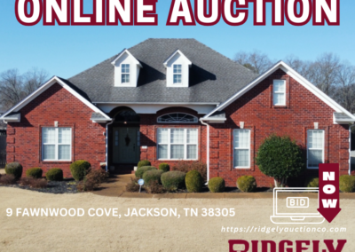 ONLINE ONLY AUCTION ENDING 03/06/25 @ 7 PM – REAL ESTATE LOCATED IN JACKSON, TN, FENTON LAMPS & GLASSWARE, BANDED GOOSE, ANTIQUES, FURNITURE, APPLIANCES & MORE! – BRENDA LAW ESTATE