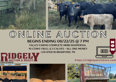 ONLINE ONLY AUCTION ENDS 08/22/25 @ 7 PM – TALLEY FARMS COMPLETE HERD DISSPERSAL
